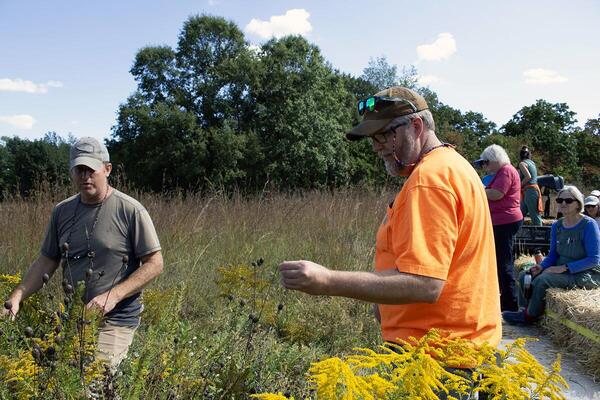 A man stands in a prairie examining a plant