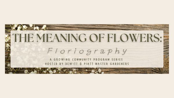 The Meaning of Flowers: Floriography, text pictured inside a wood, flower border