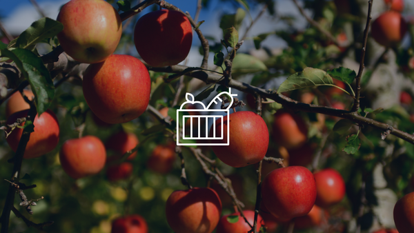 Apple tree branches with a graphic of a produce basket