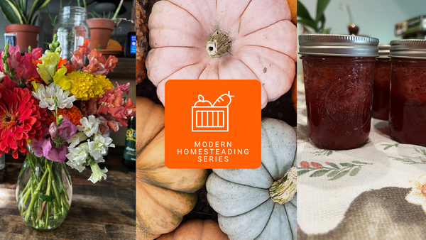 flowers, pumpkins and canned goods with graphic of produce basket "Modern Homesteading Series".