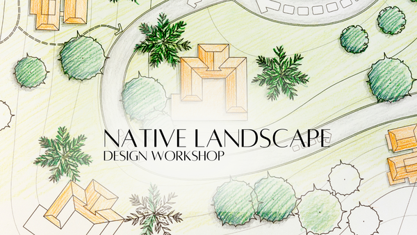 Native Landscape Design Workshop