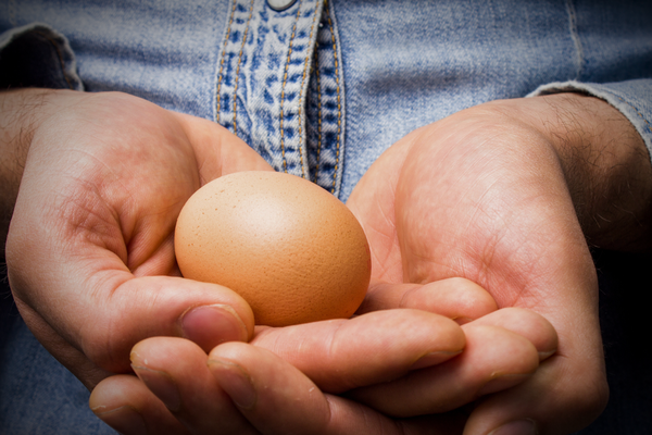 two hand holding a brown chicken egg