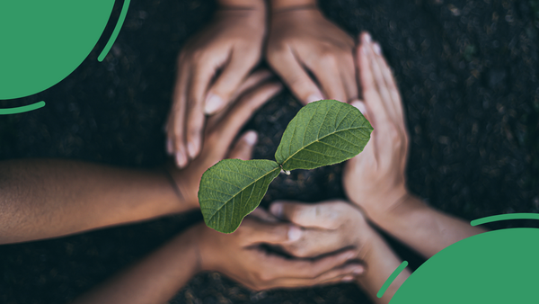 Hands surrounding a plant.