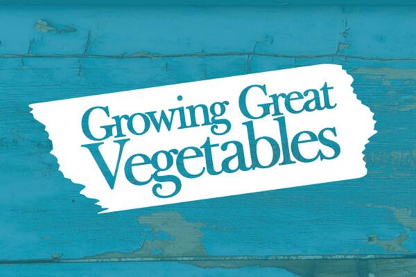 A wooden background painted teal with a word overlay reading Growing Great Vegetables.