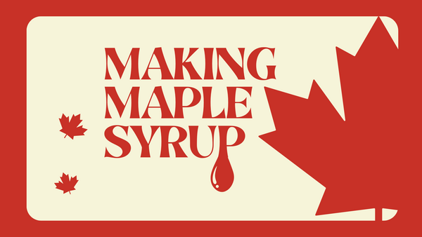 Making Maple Syrup