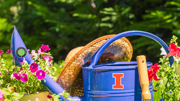 watering can, gardening hat and flowers