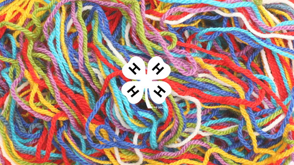 Different colors of yarn. A white 4-H clover in the middle of the image.