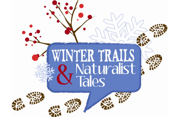 Winter Trails & Naturalist tales logo with a snowflake, winter berries and footprints