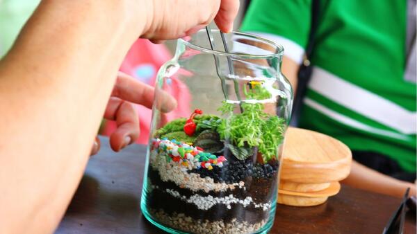 hand placing a plant in terrarium