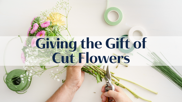 hands cutting flowers with flower trimmers