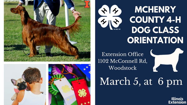 McHenry County 4-H Dog Class Orientation