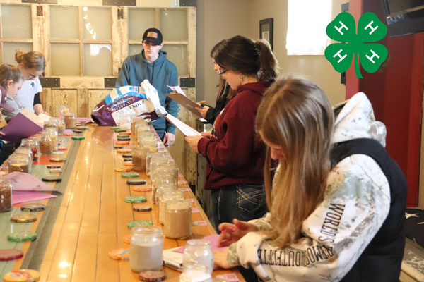 Kids competing in competition with 4-H clover.