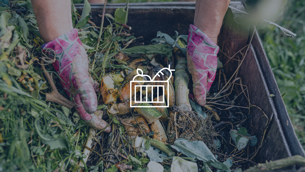 hands in a pile of compost with a graphic of a produce basket