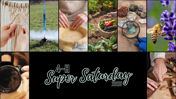 Super Saturday text with 8 different workshop images