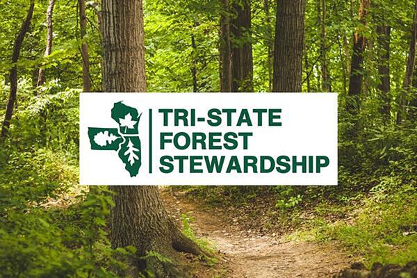 Tri-State Forest Stewardship logo with forest image in background