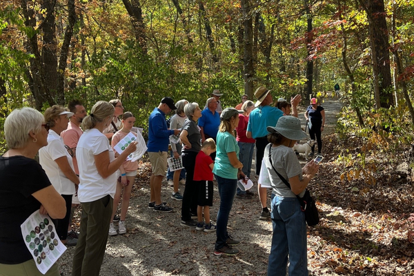 group of adults looking up at trees on a trail