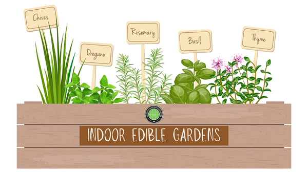 animated raised garden bed with herbs pictured 