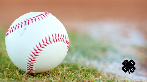 A baseball sitting on the foul line mark in the grass near sand. A black 4-H clover in the bottom right corner.