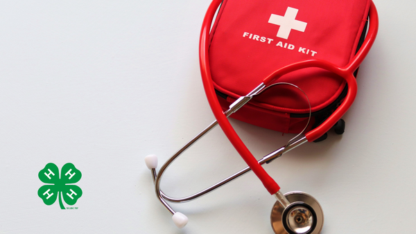 A first aid bag and a red stethoscope sitting on the bag. A green 4-H clover in the bottom left corner.