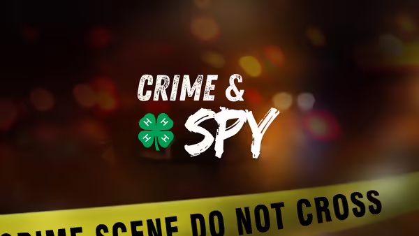 Crime and Spy
