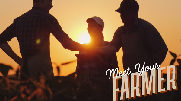 silhouette of a people shaking hands in a field