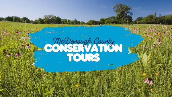 A photo of a filed of prairie flowers with the words, "McDonough County Conservation Tours" overlayed on the image.