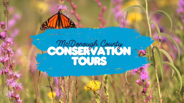 Prairie plants with a Monarch butterfly, the words "McDonough County Conservation Tours" overlayed on the image.