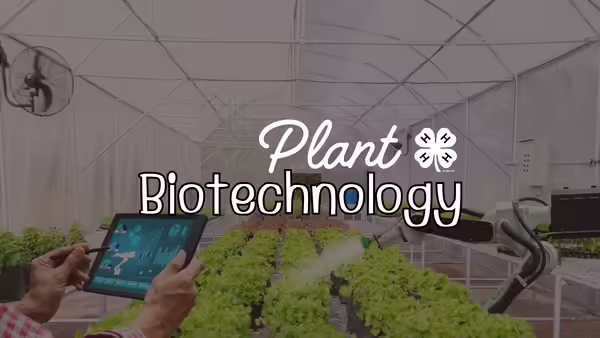Plant Biotechnology