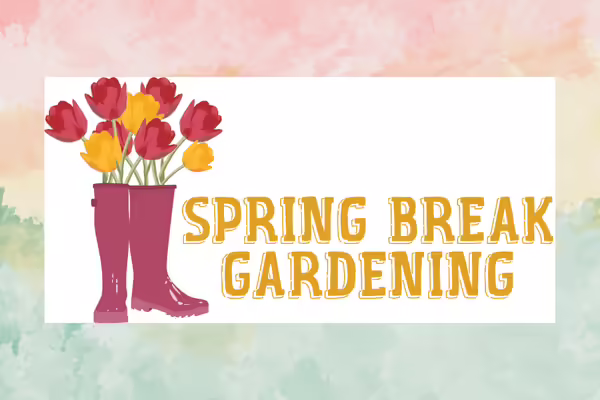 Spring Break Gardening 2025 with Flowers