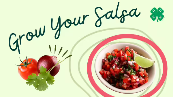 Grow Your Salsa, text pictured on a mint green background with a bowl of salsa