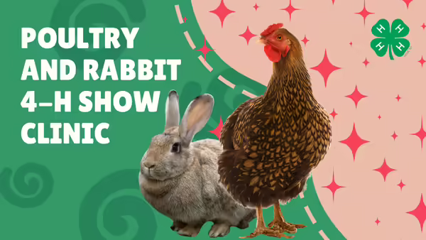 Poultry and Rabbit 4-H Show Clinic 