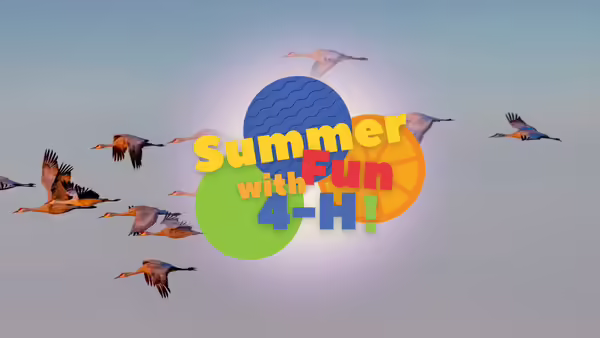 "Summer Fun with 4-H!" in front of flying birds