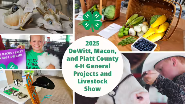 2025 DeWitt, Macon, and Piatt County 4-H General Projects and Livestock Show with pictures of 4-H Projects