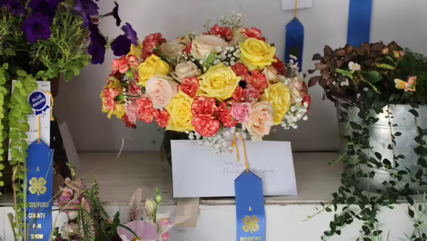 Flowers and Ribbon