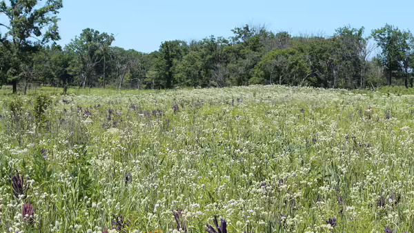 A photo of a spring landscape.