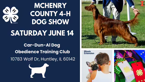 4-H McHenry County 4-H Dog Show
