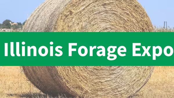 round bale of hay