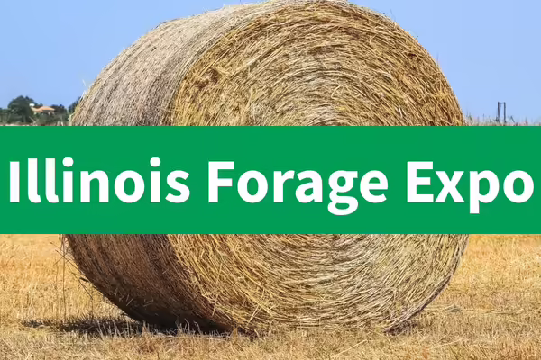 round bale of hay