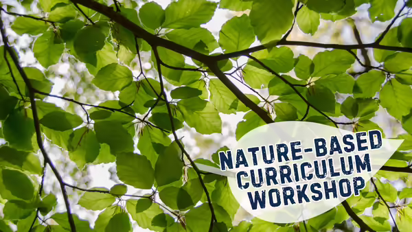 A photo looking towards the sky, through a tree canopy. Included is the title "nature-based curriculum workshop"