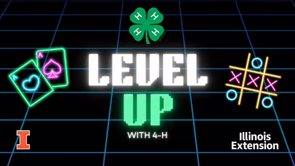 Level Up with 4-H - Playing cards and tic tac toe board