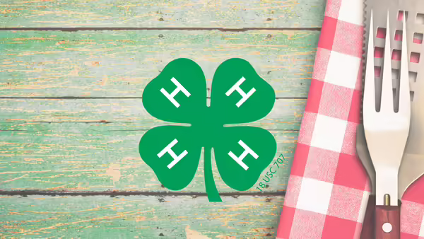 green 4-H clover. picnic napkin. grill fork and spatula