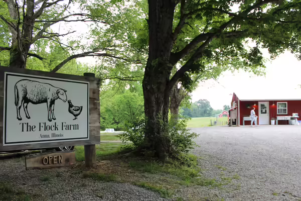 A red barn in the distance with a sign that says "The Flock Farm" by the road.