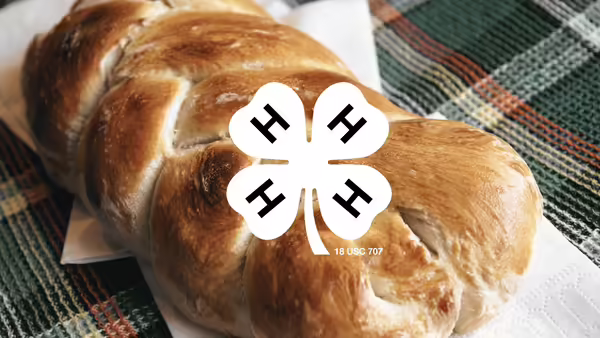 braided yeast bread