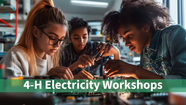 Youth working on an electricity project