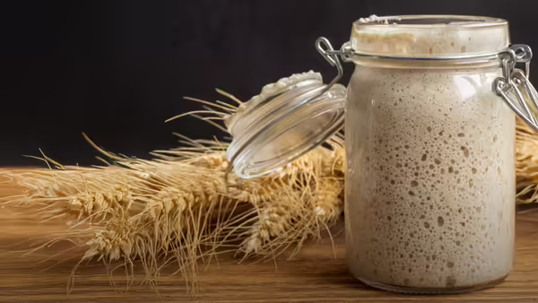 Wheat and a glass jar with sourdough in the jar sitting on a wooden table.