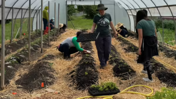 People In a Hoop house