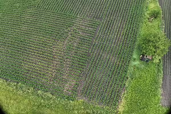 picture of a field taken from a drone
