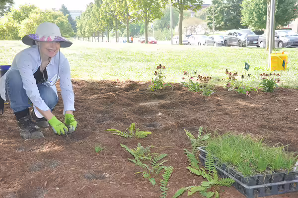 A woman plants in a garden