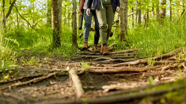 People hiking on a trail