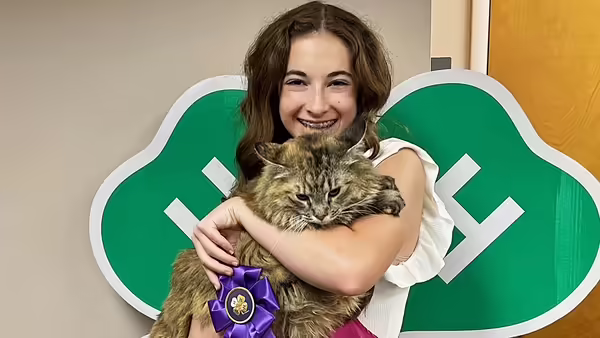 girl holding a cat